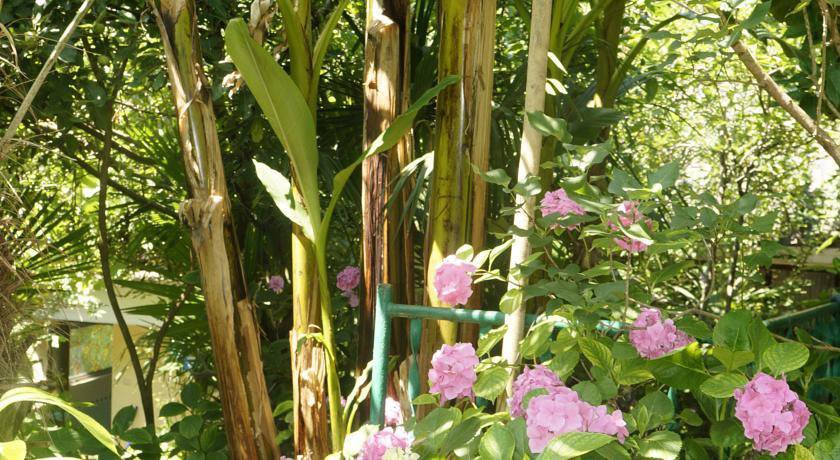 Гостиница Морской Лоо-35