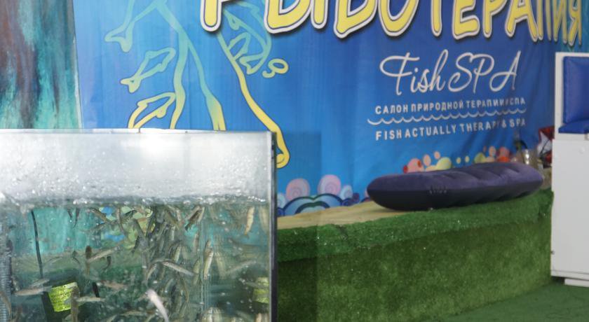 Гостиница Морской Лоо-40