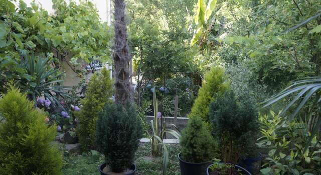 Гостиница Морской Лоо-18